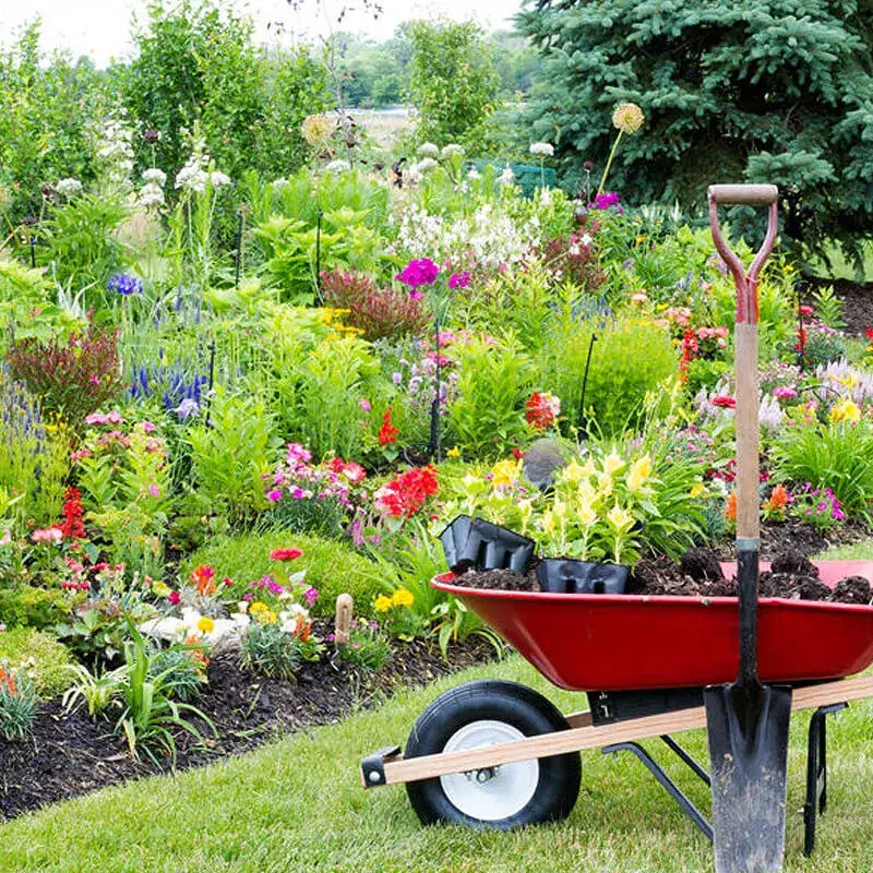 Realizzazione Giardini