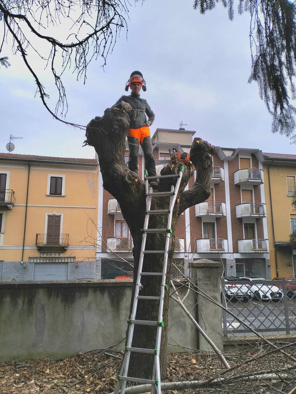Immagine progetto