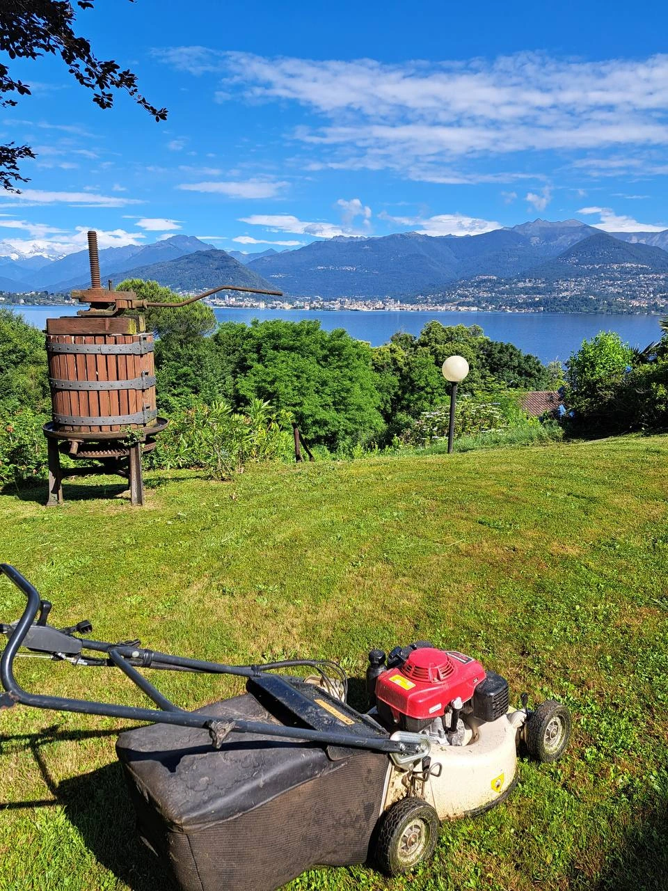 Immagine progetto