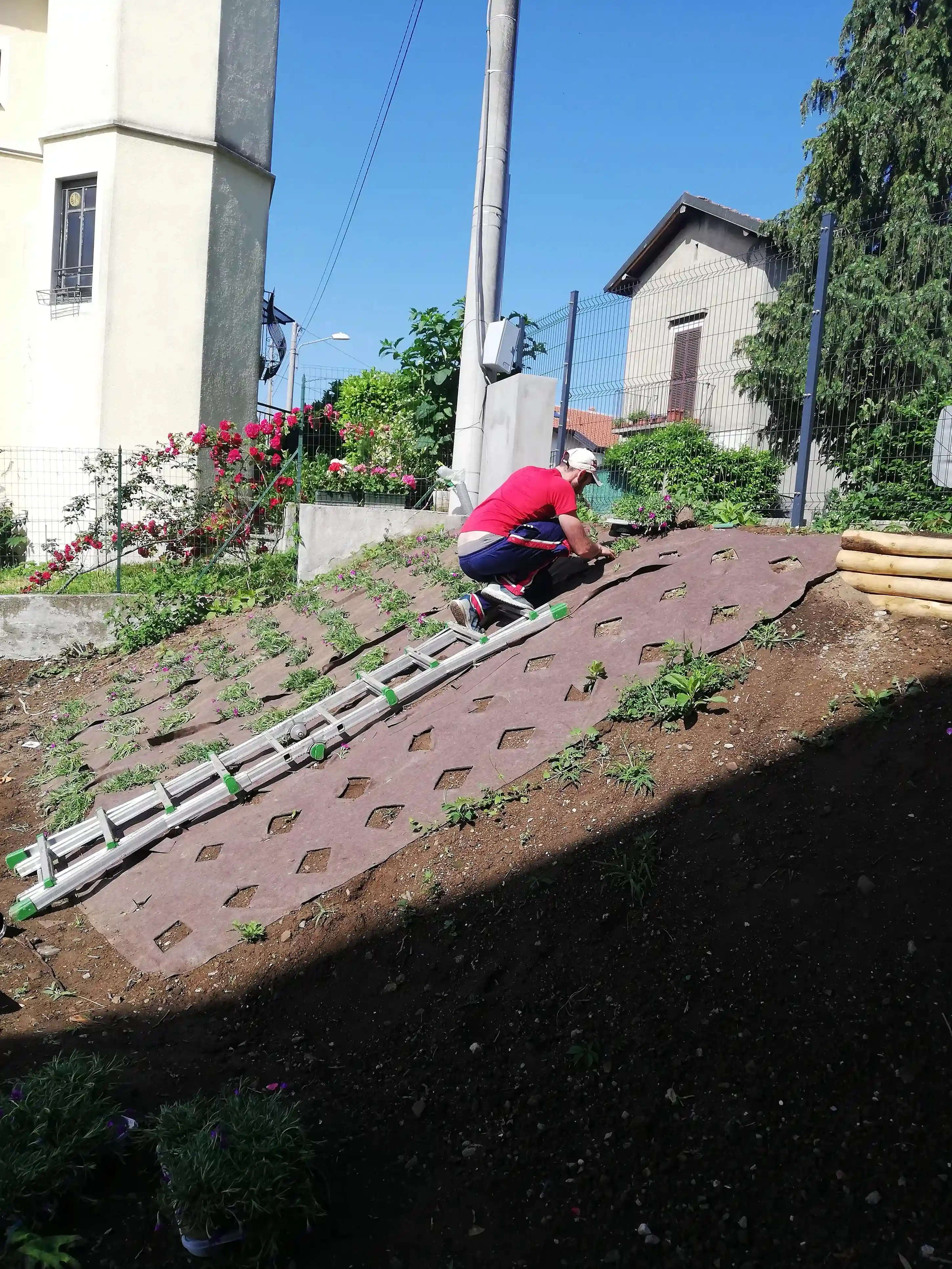 Immagine progetto