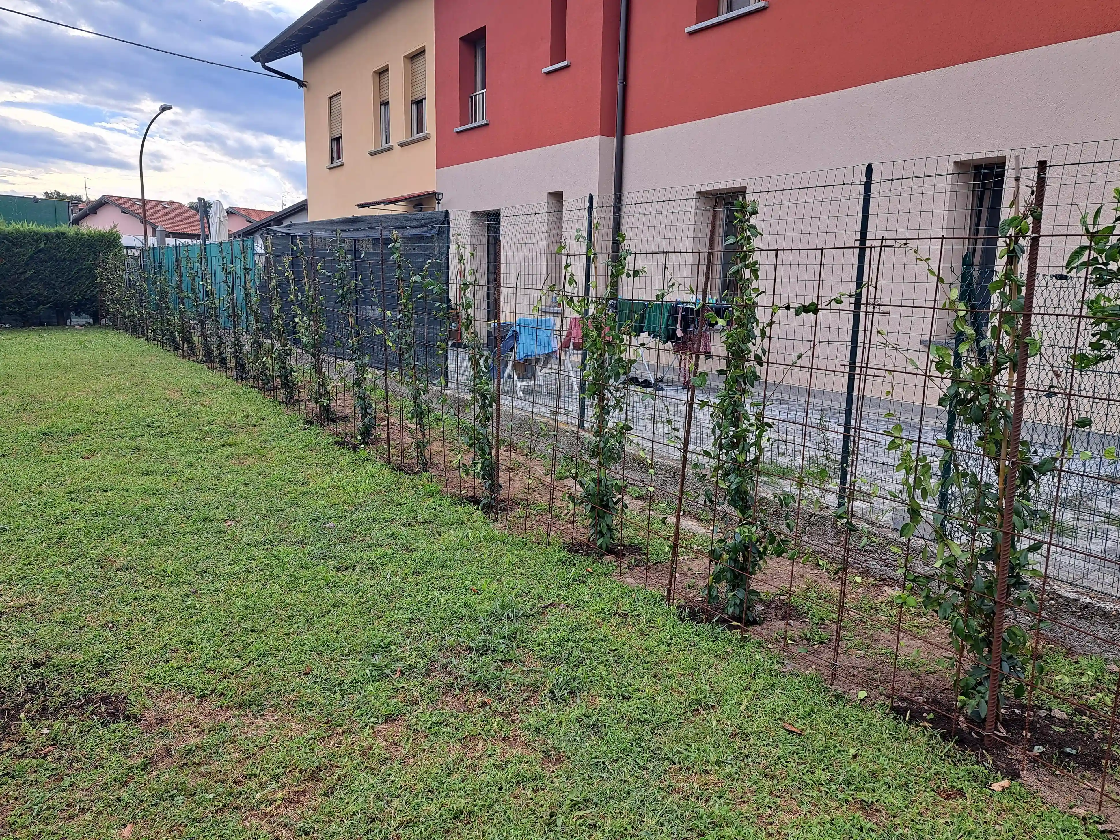 Immagine progetto